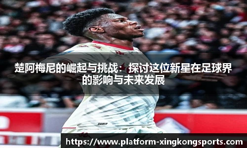 星空体育官方网站
